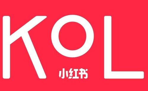 蕓眾科技 借力小紅書KOL達(dá)人，打造產(chǎn)品推廣種草與測評(píng)新范式